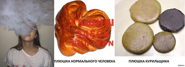 ГАЛЛЮЦИНОГЕННЫЕ ГРИБЫ Белокуриха
