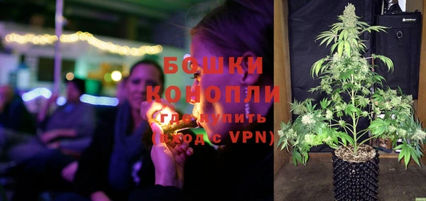 ГАЛЛЮЦИНОГЕННЫЕ ГРИБЫ Белокуриха