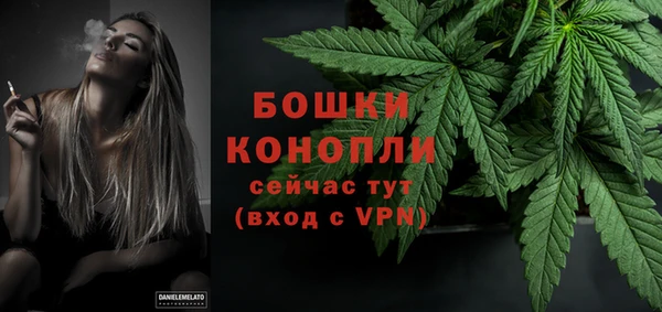 ГАЛЛЮЦИНОГЕННЫЕ ГРИБЫ Белокуриха