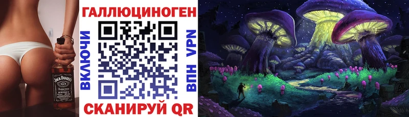 kraken ссылки  Свирск  Галлюциногенные грибы GOLDEN TEACHER  наркошоп 